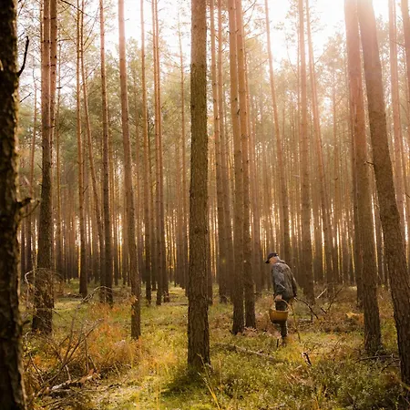 Brzozowa - Dom Nad Jeziorem - Wellness & Ceragem Вилла *