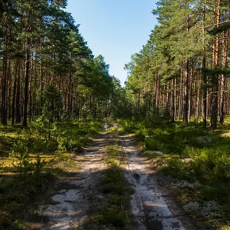 Brzozowa - Dom Nad Jeziorem - Wellness & Ceragem Вилла Kowalewo (Gniezno)