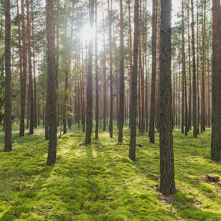 Brzozowa - Dom Nad Jeziorem - Wellness & Ceragem Kowalewo (Gniezno)