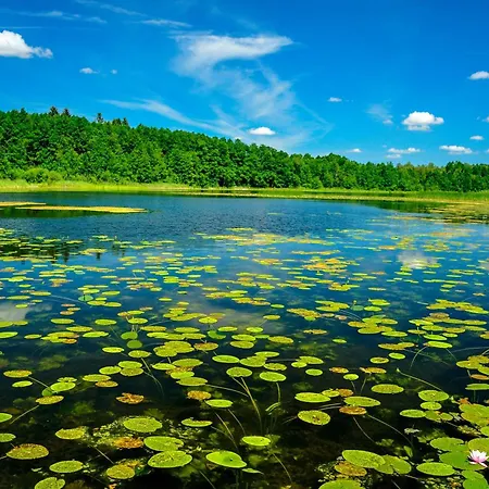 Brzozowa - Dom Nad Jeziorem - Wellness & Ceragem Вилла *