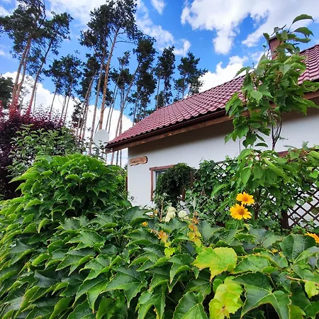 Вилла Brzozowa - Dom Nad Jeziorem - Wellness & Ceragem