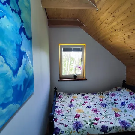 Brzozowa - Dom Nad Jeziorem - Wellness & Ceragem Вилла *