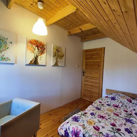 Brzozowa - Dom Nad Jeziorem - Wellness & Ceragem Вилла *