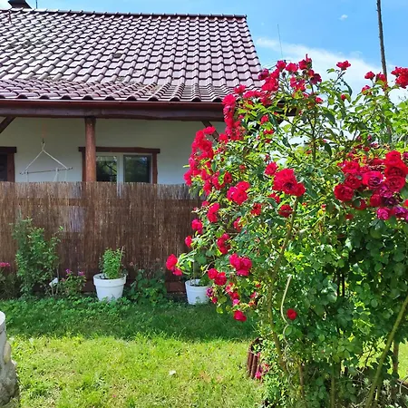 Вилла Brzozowa - Dom Nad Jeziorem - Wellness & Ceragem Kowalewo (Gniezno)