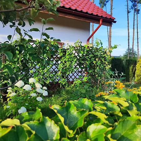 Brzozowa - Dom Nad Jeziorem - Wellness & Ceragem Kowalewo (Gniezno)