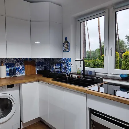 Brzozowa - Dom Nad Jeziorem - Wellness & Ceragem Вилла