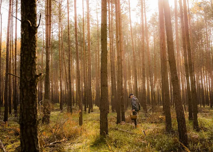 Brzozowa - Dom Nad Jeziorem - Wellness&ceragem Villa *