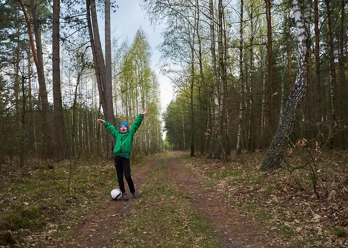 Villa Brzozowa - Dom Nad Jeziorem - Wellness&ceragem Kowalewo (Gniezno)