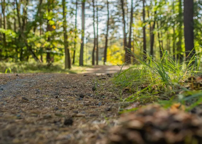 Brzozowa - Dom Nad Jeziorem - Wellness&ceragem Kowalewo (Gniezno)