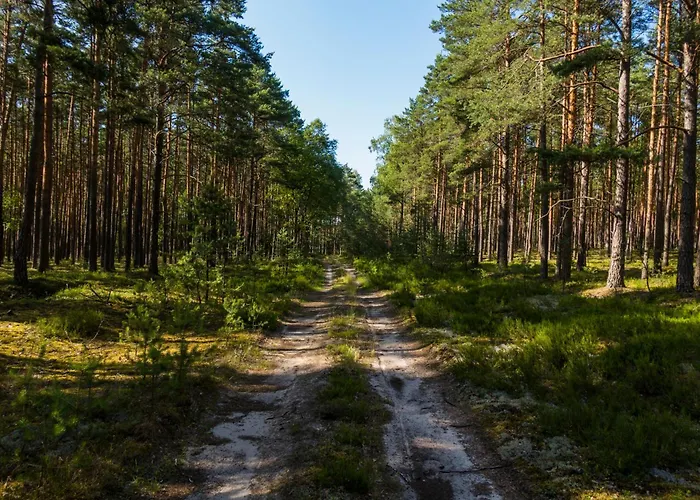 Brzozowa - Dom Nad Jeziorem - Wellness&ceragem Villa Kowalewo (Gniezno)