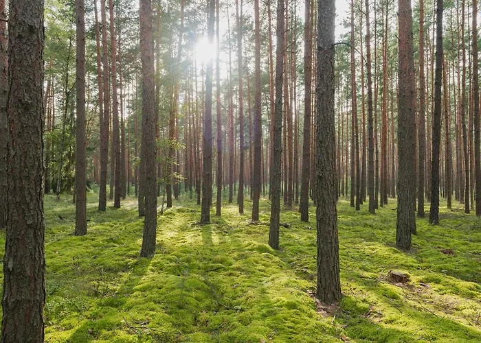 Brzozowa - Dom Nad Jeziorem - Wellness&ceragem Kowalewo (Gniezno)