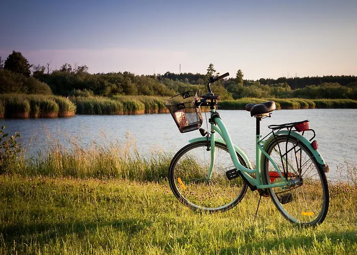 Brzozowa - Dom Nad Jeziorem - Wellness&ceragem Villa