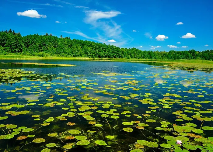 Brzozowa - Dom Nad Jeziorem - Wellness&ceragem Villa *