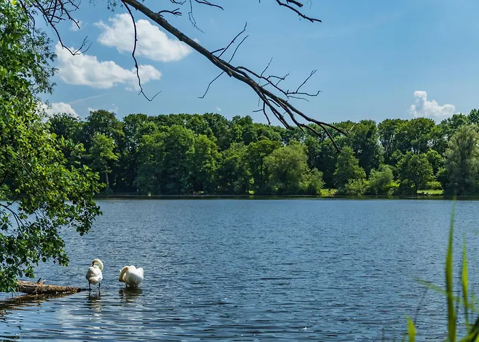 Brzozowa - Dom Nad Jeziorem - Wellness&ceragem Kowalewo (Gniezno)