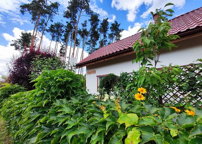 Villa Brzozowa - Dom Nad Jeziorem - Wellness&ceragem