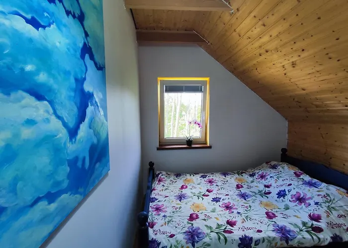 Brzozowa - Dom Nad Jeziorem - Wellness&ceragem Villa *