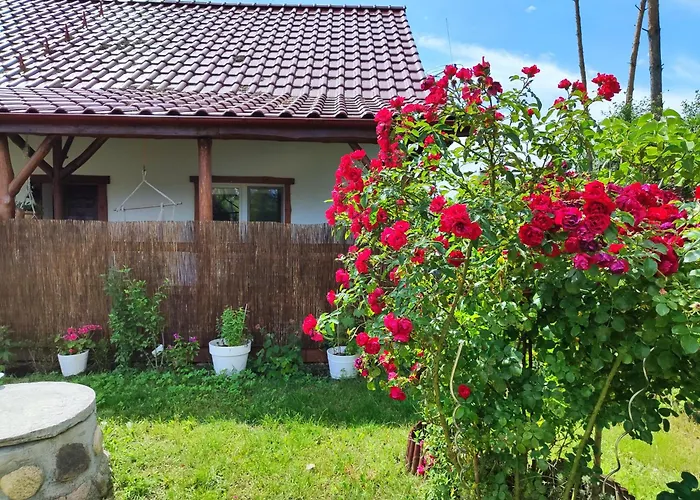 Villa Brzozowa - Dom Nad Jeziorem - Wellness&ceragem Kowalewo (Gniezno)