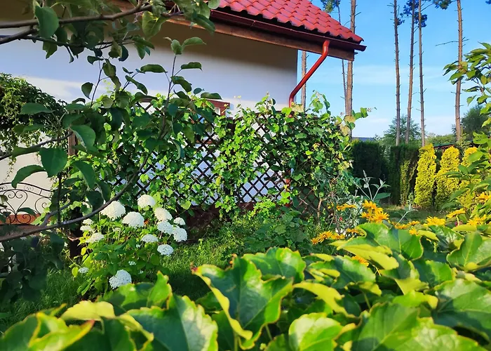 Brzozowa - Dom Nad Jeziorem - Wellness&ceragem Kowalewo (Gniezno)